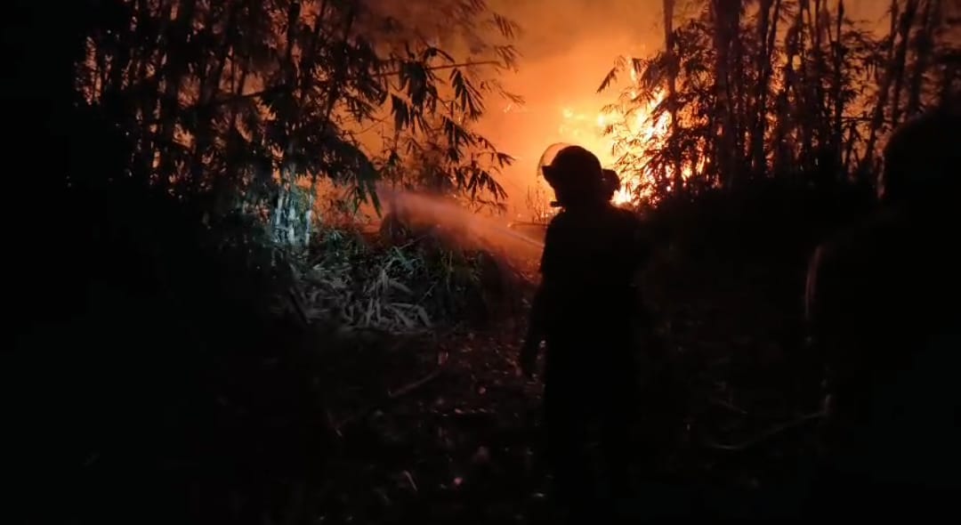 Lahan Terbakar Di Cianjur,Api Mengarah Ke Permukiman:Warga Mulai Panik,Penyebab Masih Misterius,15 Hektare Lahan Terbakar